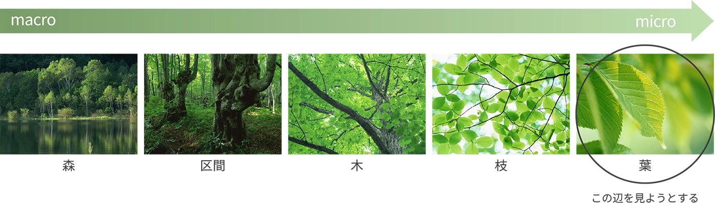 「木を見て森を見ず」の例えのように